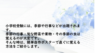 小学校受験 季節 行事 野菜 果物 虫の覚え方 無料ポスター直ぐに覚える方法 小学校受験合格研究所へようこそ